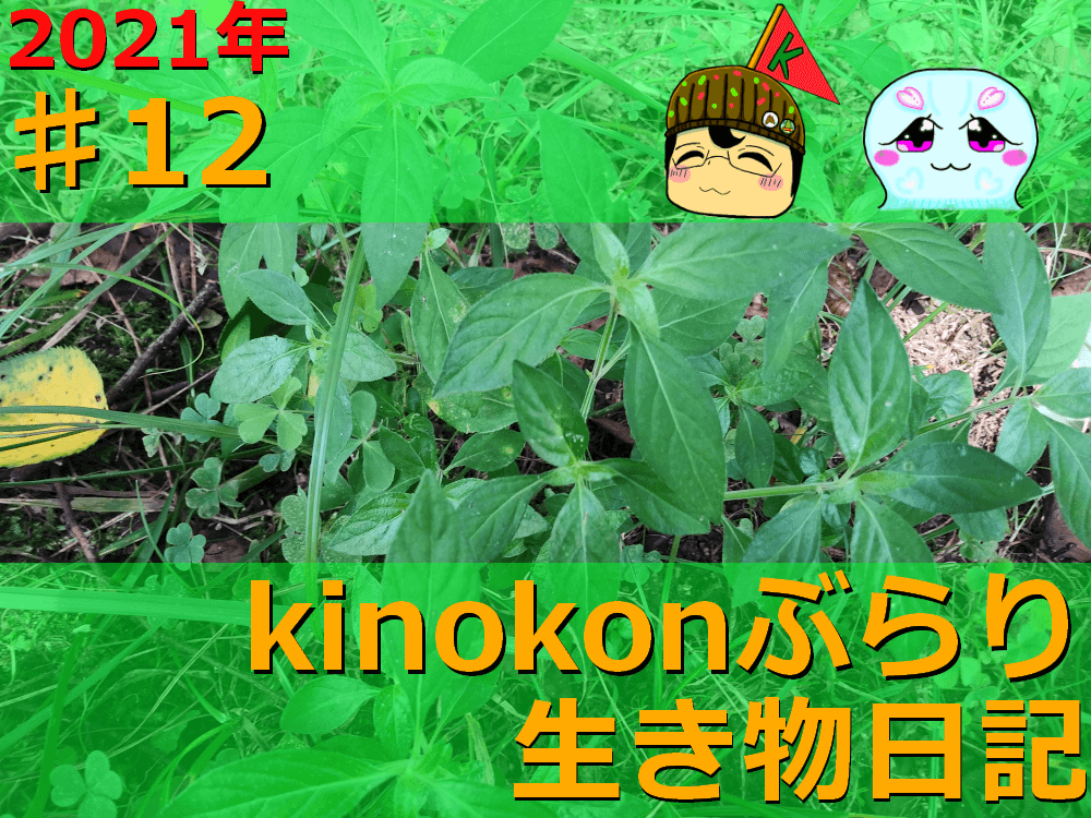 Thumbnail of post image 079